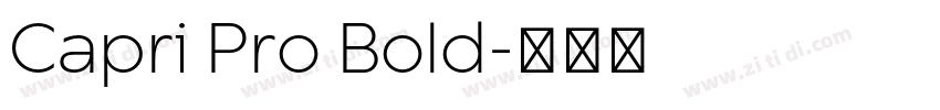 Capri Pro Bold字体转换
